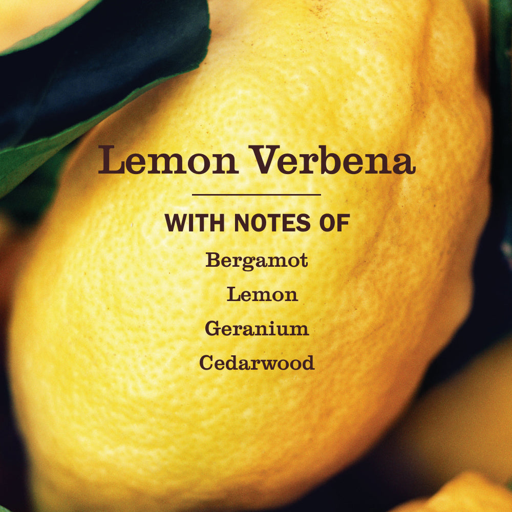 Lemon Verbena Foaming Hand Soap - Image 4