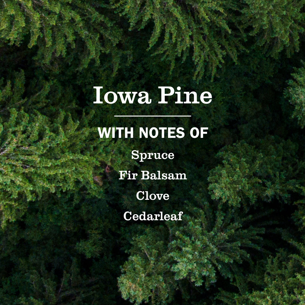 Iowa Pine Multi-Surface Everyday Cleaner 3-count Bundle - Image 4