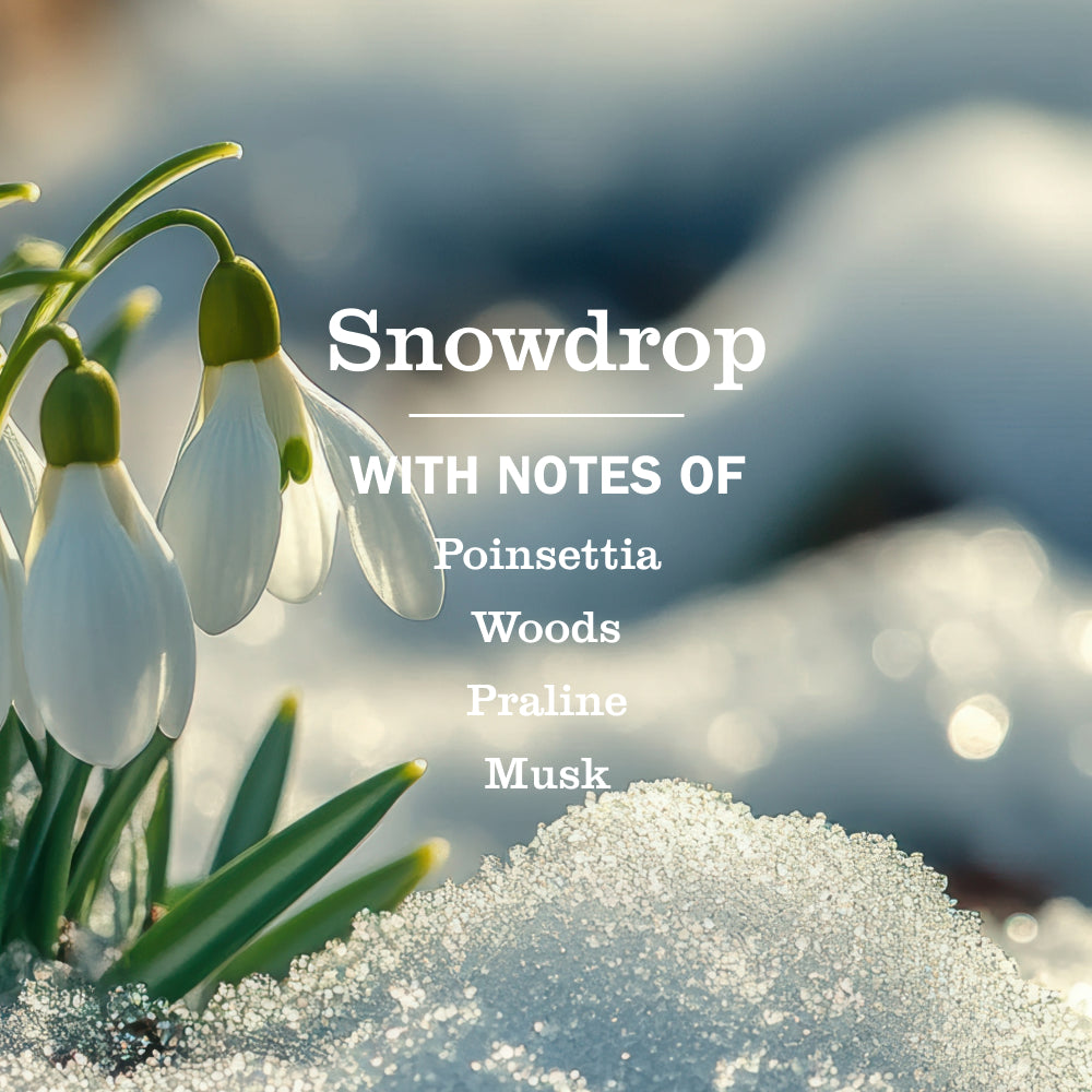 Snowdrop Liquid Hand Soap & Refill Set - Image 2